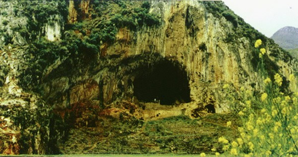 ˮ�����Ҷ��������Ļ���ַ