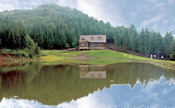 ��֦�һ�����������ַ