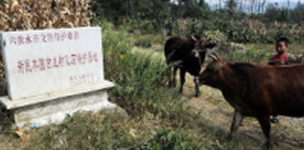 ������Ȧ�����ͺ������ж���Ⱥ��ַ