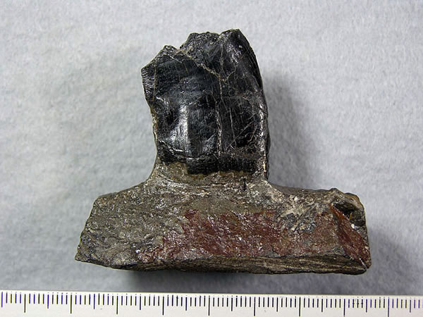 �ձ�����뵺�����������ھ������ʳ��������ݻ�ʯ