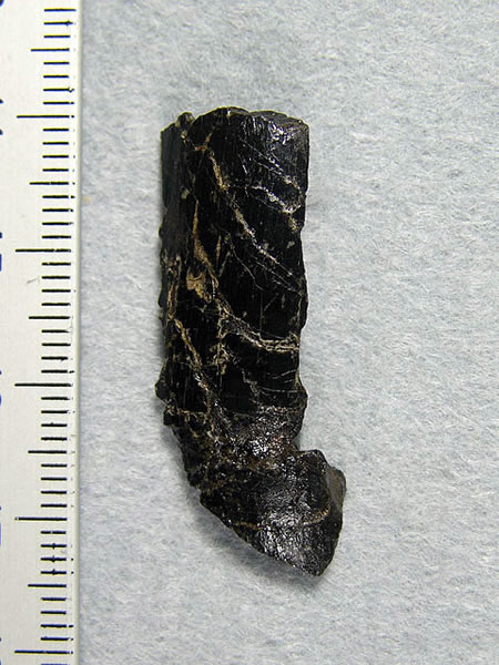 �ձ�����뵺�����������ھ������ʳ��������ݻ�ʯ