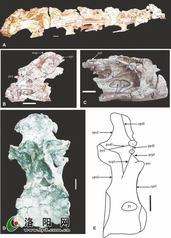 ������������ʯ