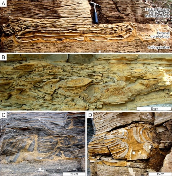 ̼�������з����İ����������������