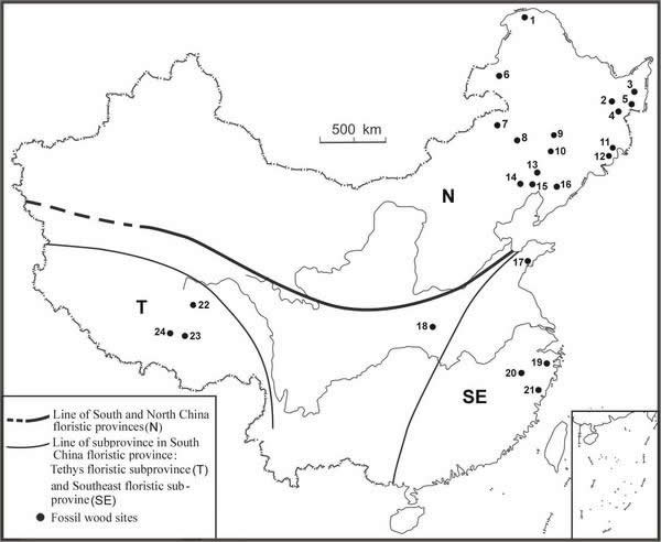 Geographical distribution pattern of Cretaceous fossil woods in China