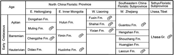 Representative fossil wood bearing beds from the Early Cretaceous sequences in C
