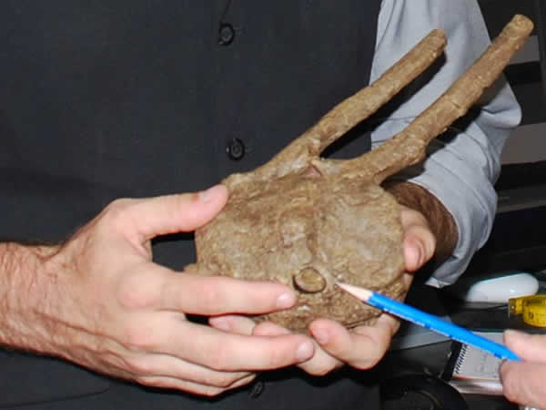 Ѽ������׵�ϵı�������