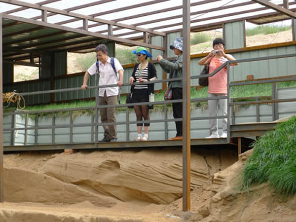 ����÷�о�Ա��ͬ����Ⱥ�о�Ա�Լ�ͬ�ڵ��õĺ�����ʡ�����Ļ���Ӧ�����ֳ���������ɽ��ҵ�������ĸ��ֳ���������ľ����ַ�����ֳ�