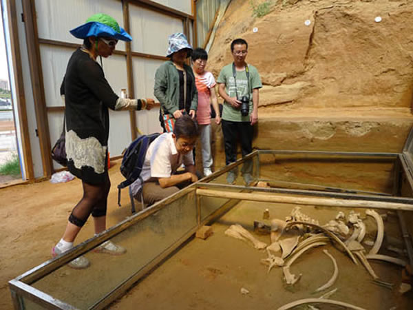 ����Ⱥ�о�Ա��Ӧ���������ĸ��ֳ��鿴����ľ����ַ�²��ز��������ëϬ�Ǽܻ�ʯ