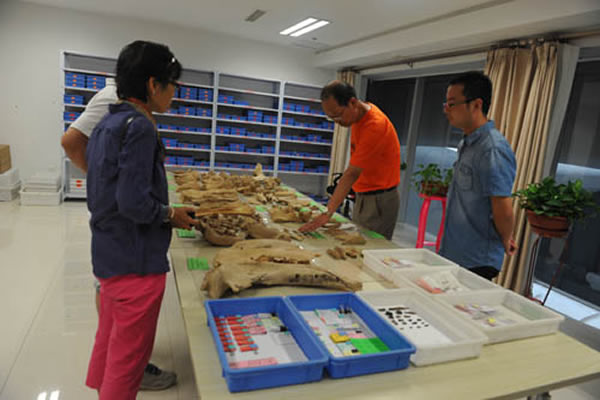 ����ר�ң�л�ɣ��鿴����ľ����ַ�����Ĳ��ֹ�����ʯ�걾