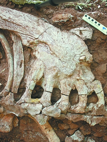 ��ˮѰ��������