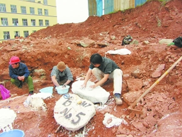 ��ˮѰ��������