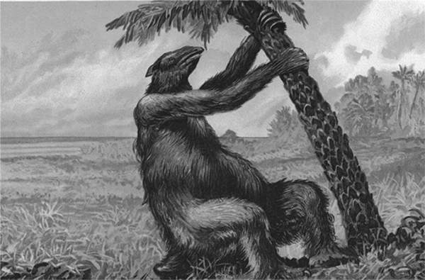 南北美洲生物大迁徙,地懒来到得克萨斯州的“新家”。