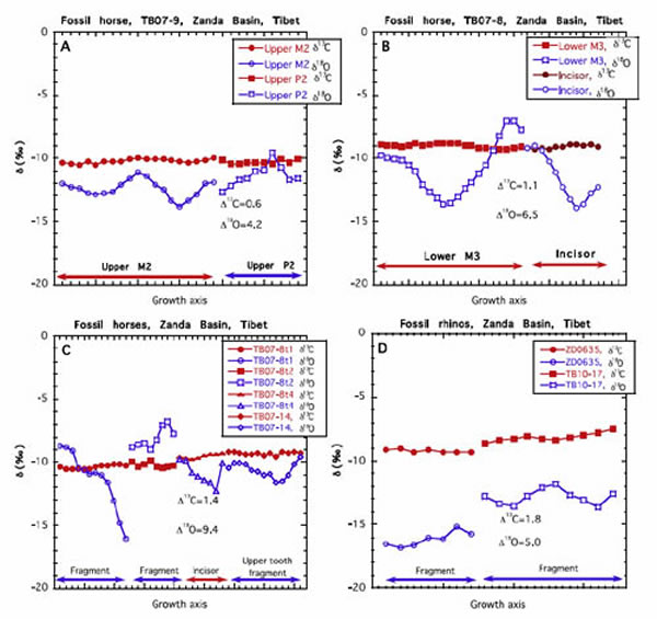 �����������������ʳ�ݲ��鶯�������̼����ͬλ���źż�¼�ļ����Ա仯�����ι�ͼ��