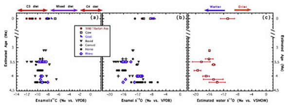 �������Լ4.2������������ֺ������ëϬ�Ȳ��鶯���Լ��ִ�ʳ�ݶ����ˮ���̼����ͬλ����ɣ����ι�ͼ��