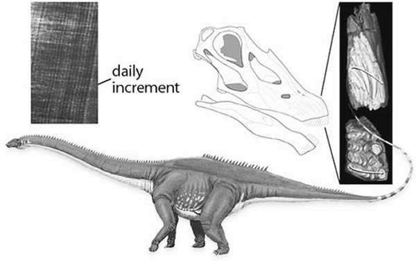 ���ֿ�����������״�ͻ���Ƶ���ϵĲ���ʹ���ܹ�����