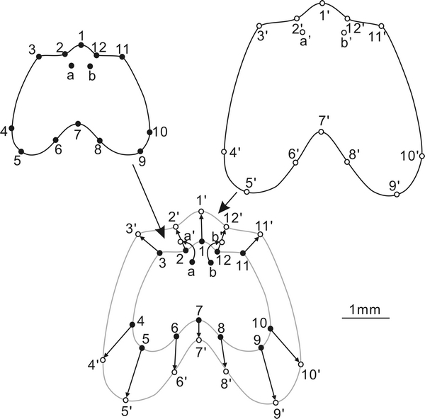���ϰ��ռ�ĩ����������㶯����巢���о�ȡ���½�չ