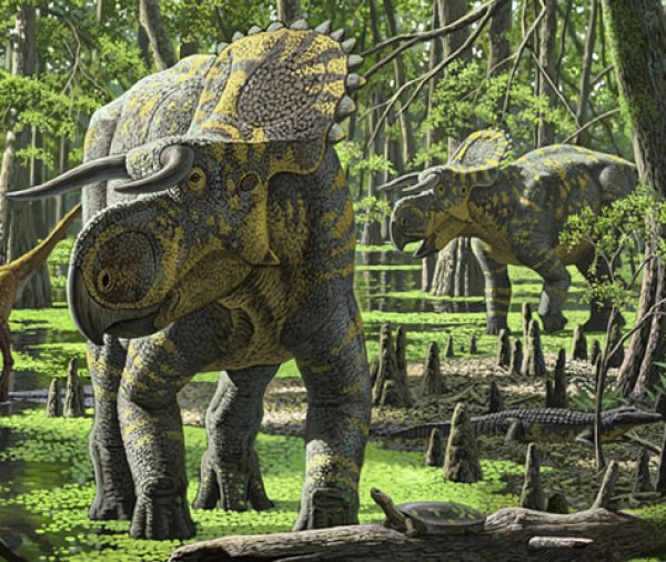 ���ǵĿ��������Ŵ����