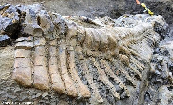 ����ī���羳���״η��ֱ�����õĿ���β��������ʯ�����ȴ�Լ5�ף�����ʷ��׷����7200����ǰ