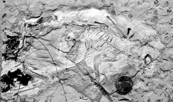 �������ξ޳��ޡ���ʯ