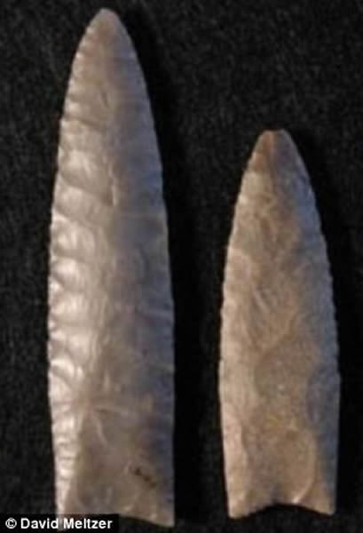 һЩ��ѧ����Ϊ������ά˹��ѡ�������ì��������һ�����ǵ�ײ����������