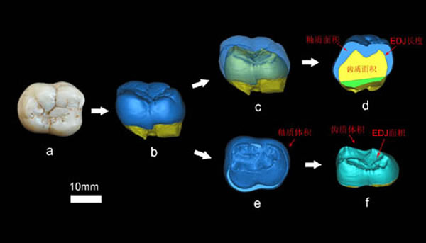 ��Գ���ݶ�ά����ά���ʺ�ȵĲ���(�����ٹ�ͼ)
