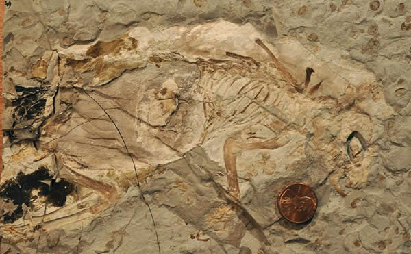 �������ξ޳��ޡ���ʯ��8��6���㣩��