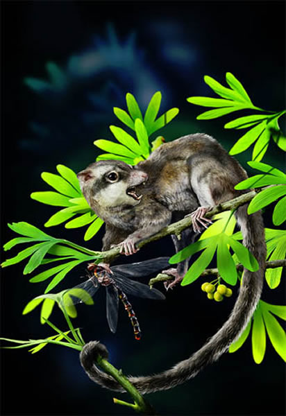 ���������޸�ԭͼ(��˳����ͼ)