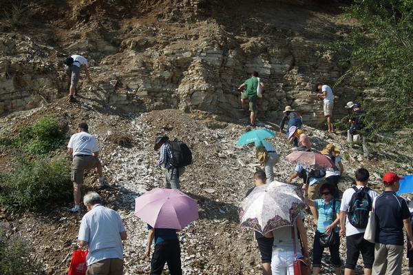 �ι���صز�����