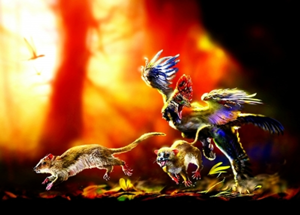 �����Ƴ���������ͬ�ڵĽ�������׷�����Ƴ���