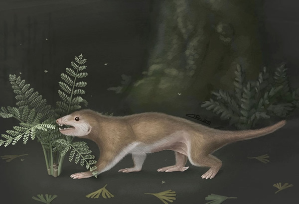 ���ڲ��鶯���ڷ����ϵĸ�����