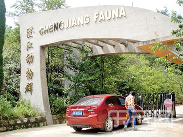 �οͲι۶���Ⱥ��ʯ�ݣ���ֻ��ͽ�����롣