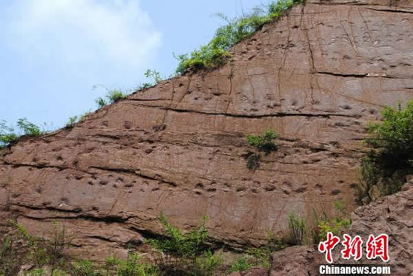 �������õĿ�����ӡ