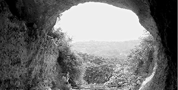 ����֯������ַ