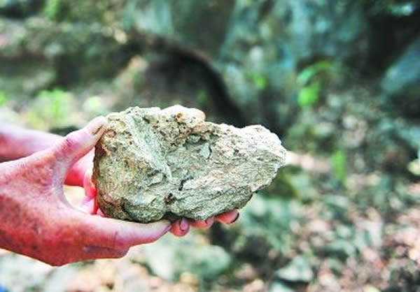 ������ɽ������ַ