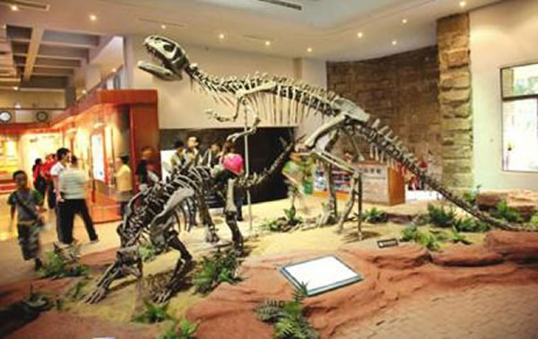 ����ȫ�򹫿��������Թ���������ݼ����