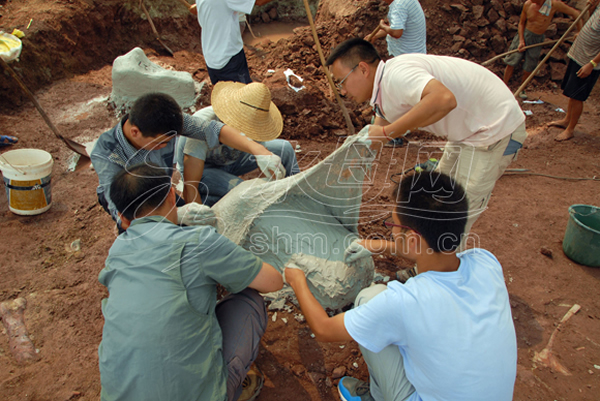 ���Ѽ͹�԰��������֮�硱ɽ������