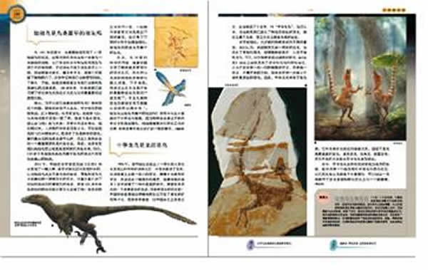 �ż�׵�����Ϲ����������ࡶʮ���Ϊʲô�������������