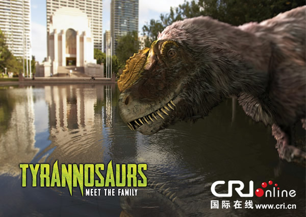 �Ĵ����ǲ����Ϊ�˴�չ�������˶��������ͼƬ����