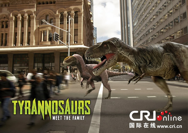 �Ĵ����ǲ����Ϊ�˴�չ�������˶��������ͼƬ����