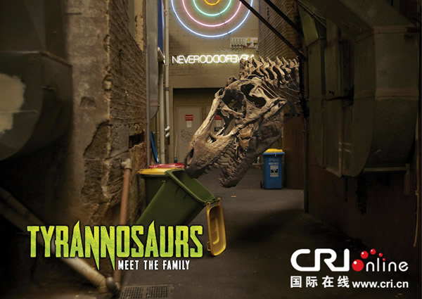 �Ĵ����ǲ����Ϊ�˴�չ�������˶��������ͼƬ����