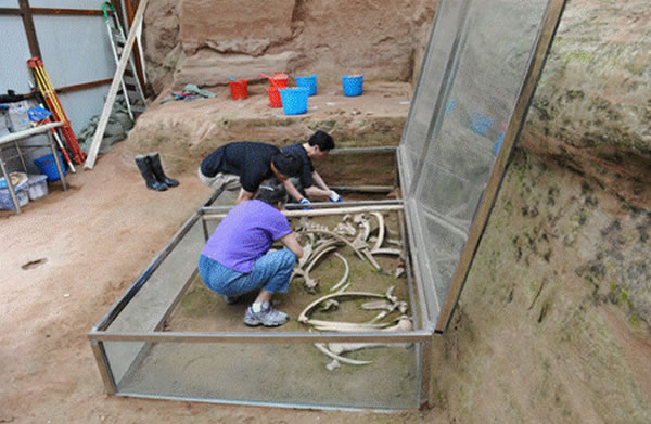 ����ľ����ַ��1�ص�ڢ��Ϭţ�Ǽ�ģ��������ʼ׼��