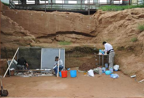 ��ģ�����ֳ��������ܹ�ƽ�������������ܹ⣩