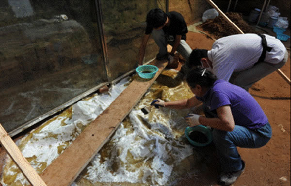 ����ľ����ַ��1�ص�ڢ��Ϭţ�Ǽ�ģ������������