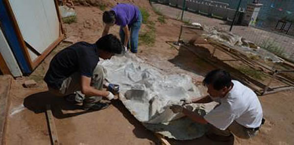 ��ʼΪģ����ɫ