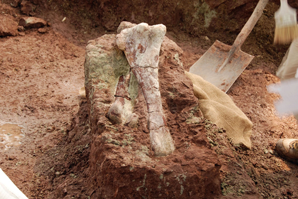 ��ȡ���Ŀ�����ʯ