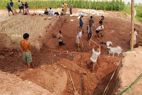 �����ֳ�