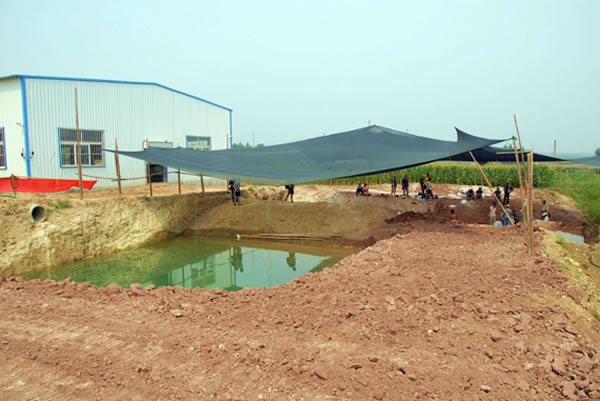 ������ȫ��