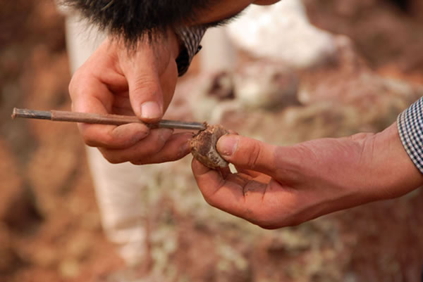 �ƿ���Ա����������ʯ