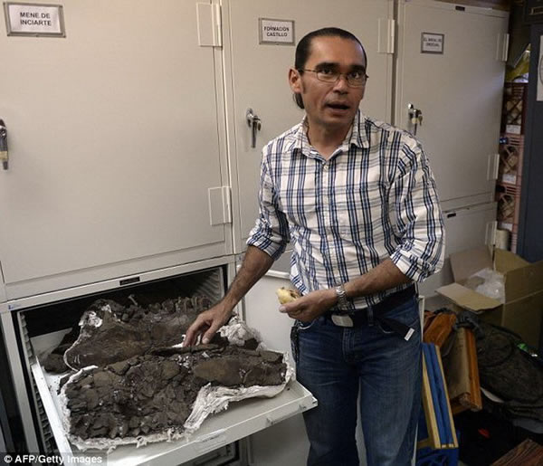 ί���������и��ӵĵ��ʹ��죬�ḻ��������Դ֤ʵ���������Ŵ���Զ������