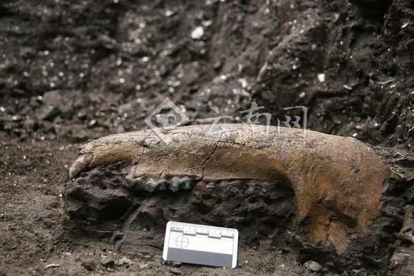 ������ͨˮ���ӹ�Գͷ�ǻ�ʯ���ֺ��о��ɹ�